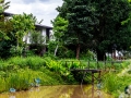 Pond/Garden Villas